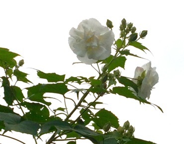 f0235026_22074396.jpg