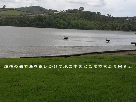 d0042827_16511752.jpg