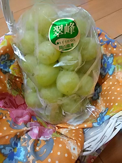 a0370028_16063368.jpg