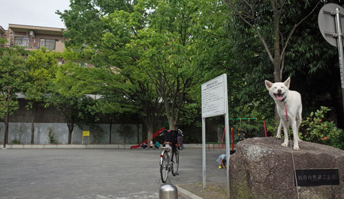 a0117039_22403189.jpg
