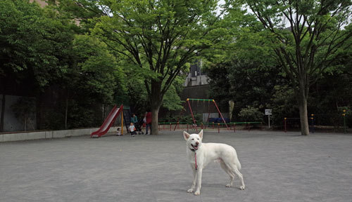 a0117039_22403773.jpg