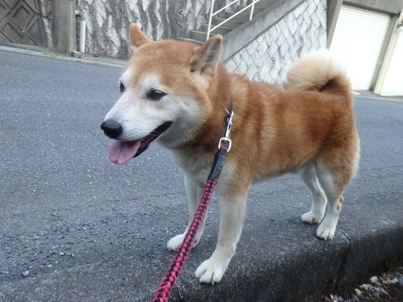 a0054240_21323964.jpg