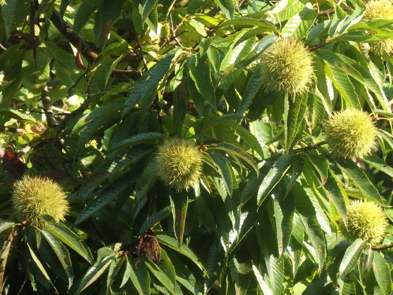 a0054240_21464868.jpg
