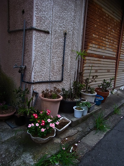 a0087341_22094359.jpg