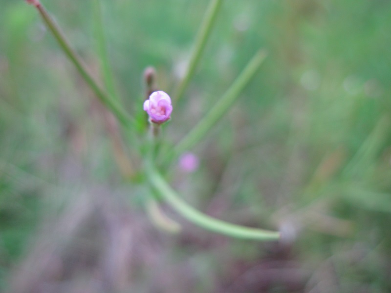 d0333943_06253507.jpg