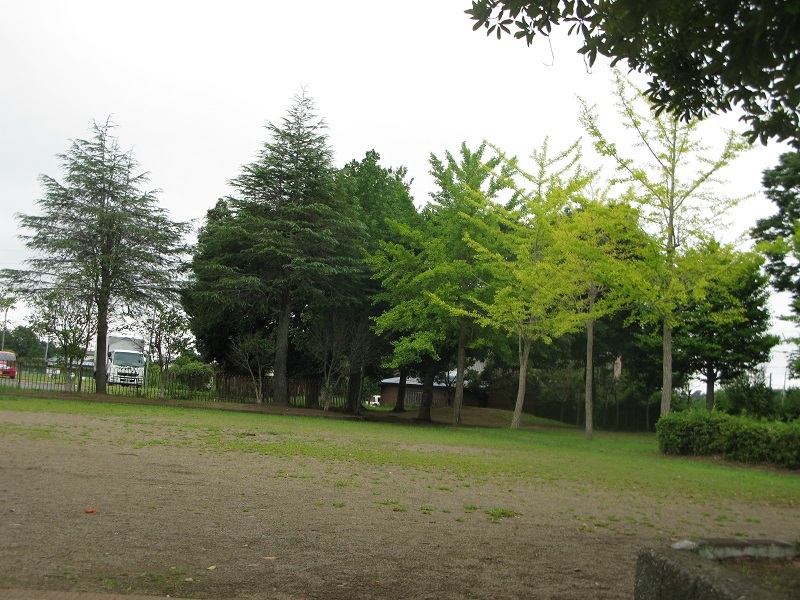 d0333943_06353099.jpg