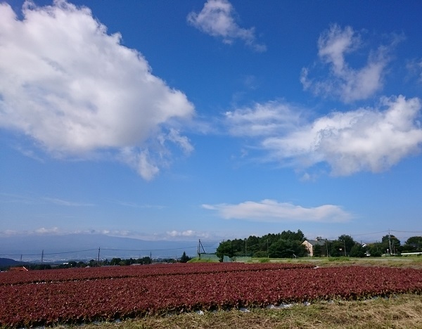 d0306248_22523419.jpg