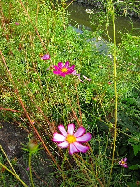c0327752_09134324.jpg