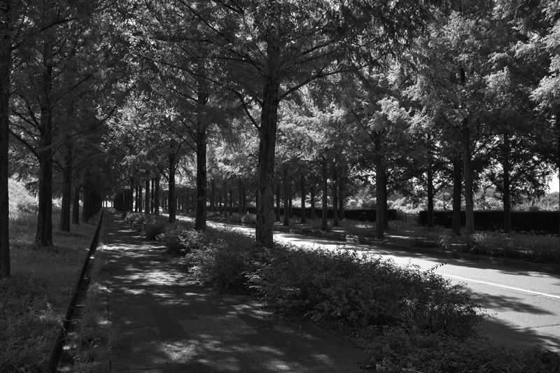 d0342652_1610333.jpg