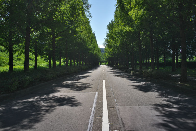 d0342652_168170.jpg