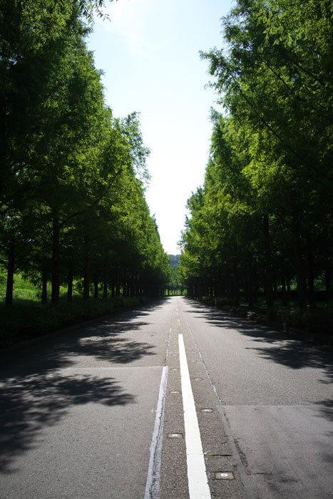d0342652_1682780.jpg