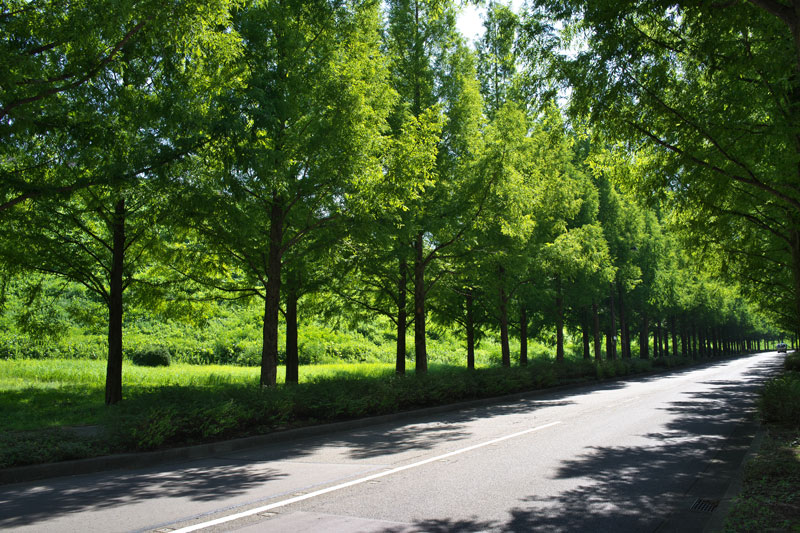 d0342652_169194.jpg