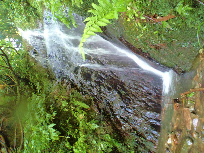 b0234354_21344841.jpg
