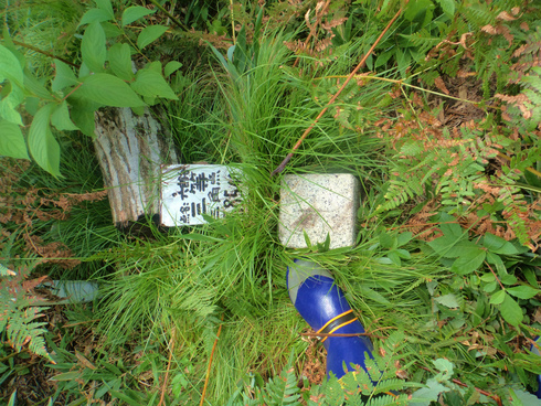 b0234354_21374734.jpg