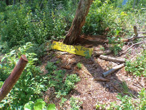 b0234354_2137734.jpg