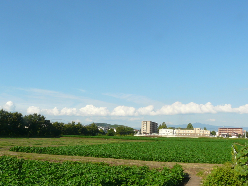 b0248954_05342759.jpg