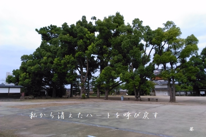 f0379160_15113100.jpg