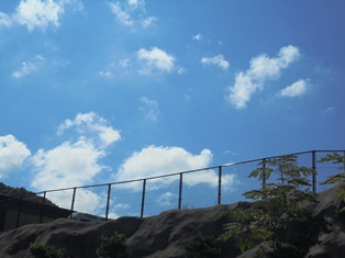 f0152061_1673494.jpg