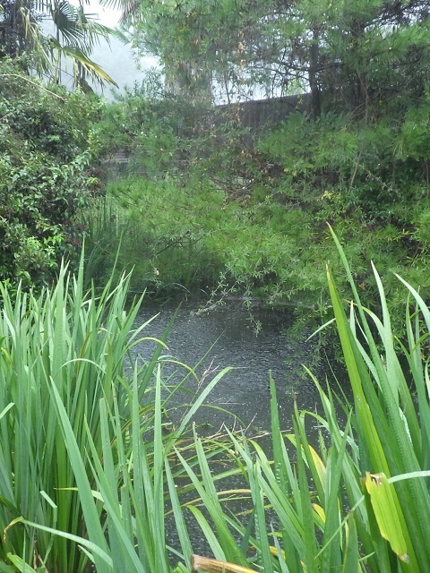 c0105569_00571932.jpg