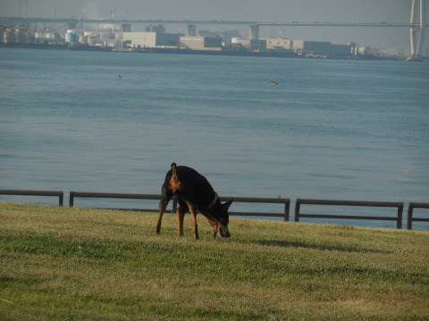 c0195787_20321436.jpg