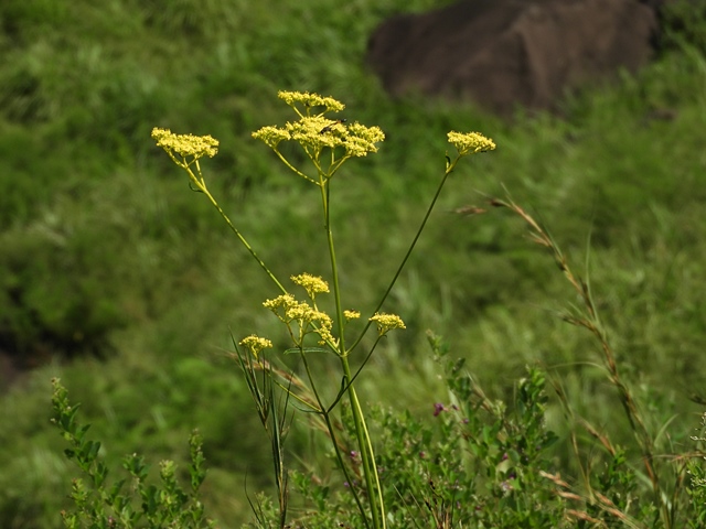 f0357487_17243352.jpg