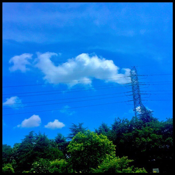 c0026089_21324912.jpg
