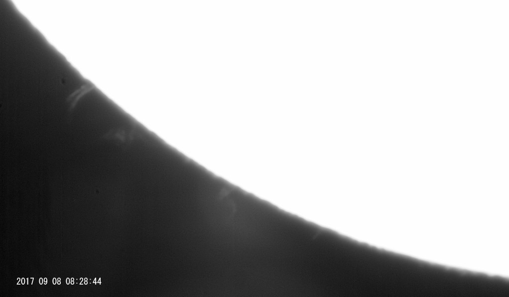 e0174091_16201953.jpg