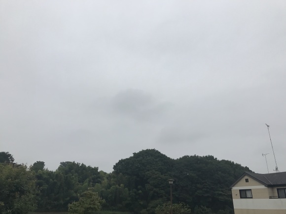 d0135694_19142545.jpg