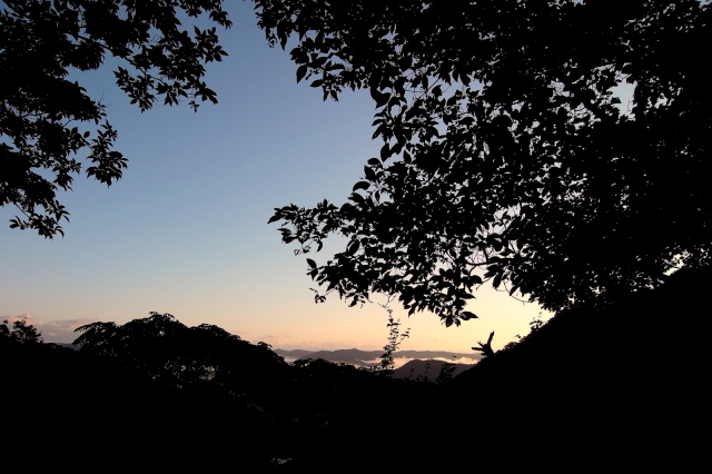 f0325295_10224198.jpg