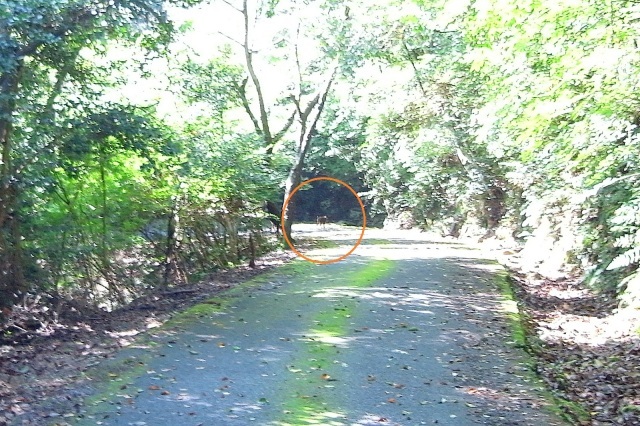 f0325295_12534839.jpg