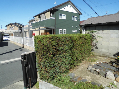 c0108198_1753445.jpg