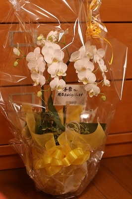 e0209900_1213357.jpg