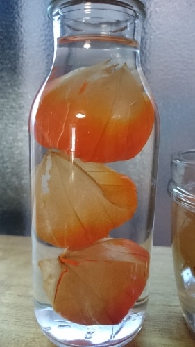 e0351303_12164440.jpg