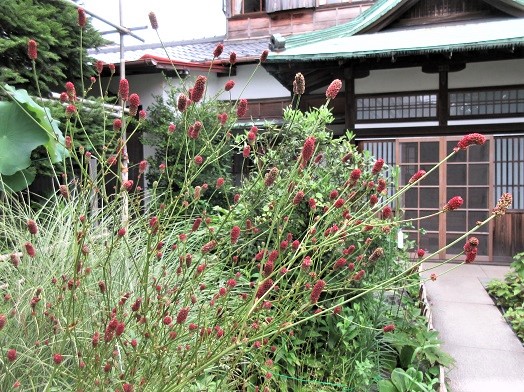 e0245404_1040562.jpg