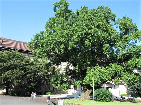 e0245404_2353445.jpg