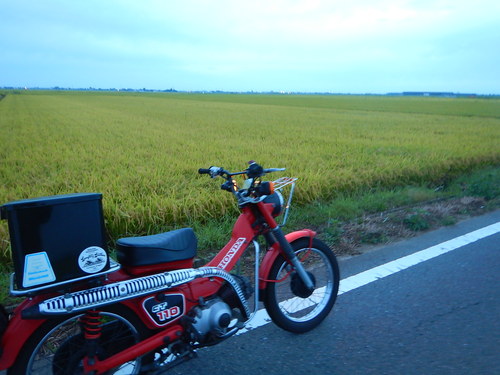 e0243008_4125946.jpg