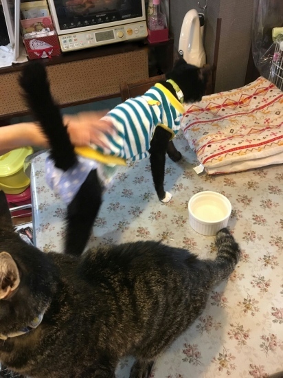 e0144012_15201595.jpeg