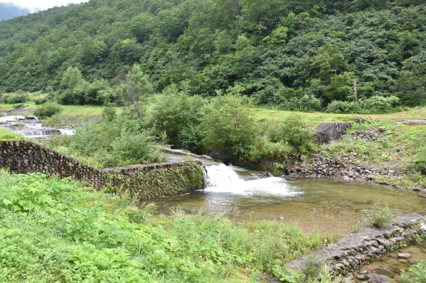 c0232813_05210651.jpg
