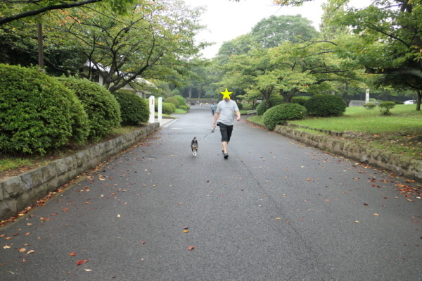 f0369014_10540814.jpg