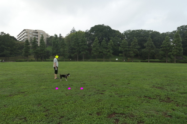 f0369014_11011564.jpg