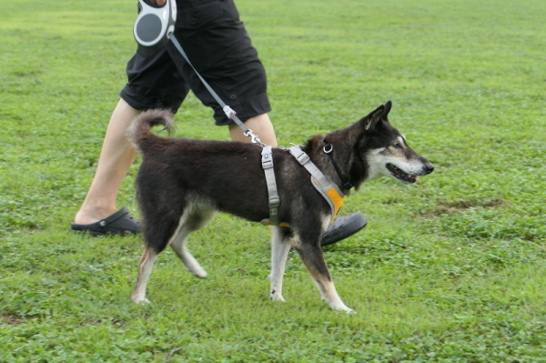 f0369014_11042253.jpg
