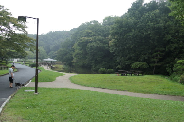 f0369014_11170018.jpg