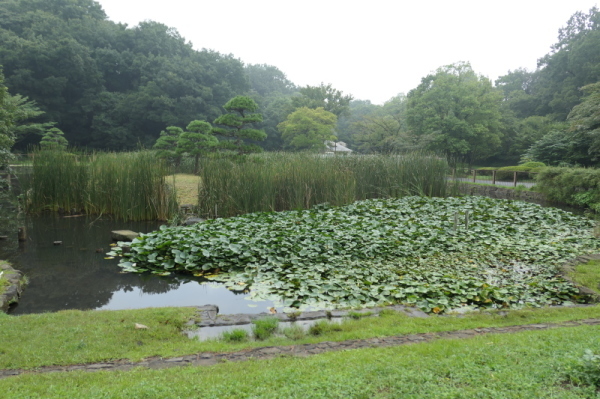 f0369014_11362260.jpg