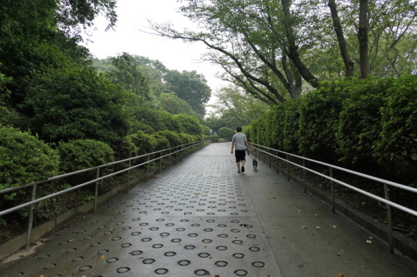 f0369014_11443213.jpg