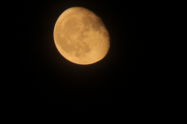 e0361216_20545394.jpg