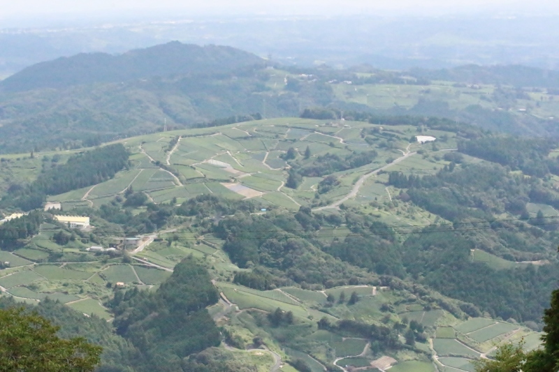 b0220318_09172626.jpg