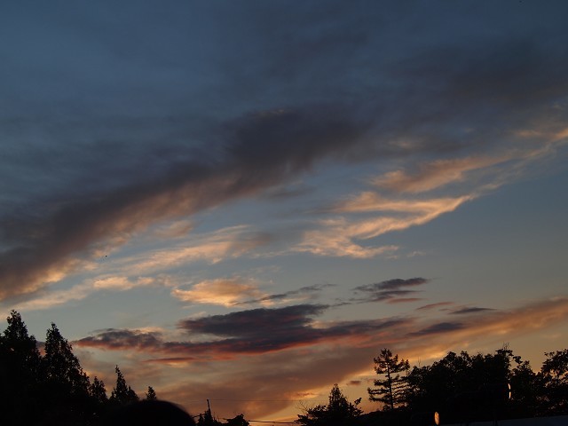 d0295818_22593500.jpg