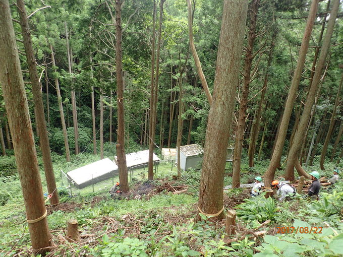 e0138321_5291768.jpg