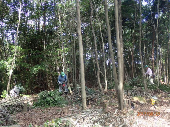 e0138321_5335549.jpg