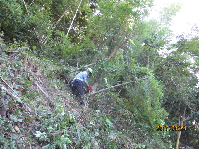 e0138321_547373.jpg